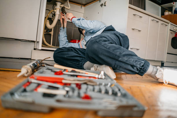 Best Septic Systems  in Elmwood Park, IL