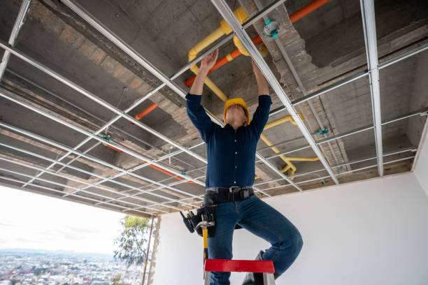 Best Sewer Line Repair  in Elmwood Park, IL