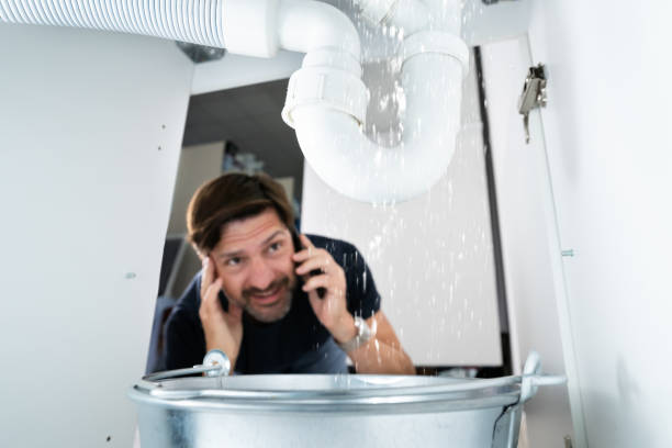 Best Plumbing Services Near Me  in Elmwood Park, IL